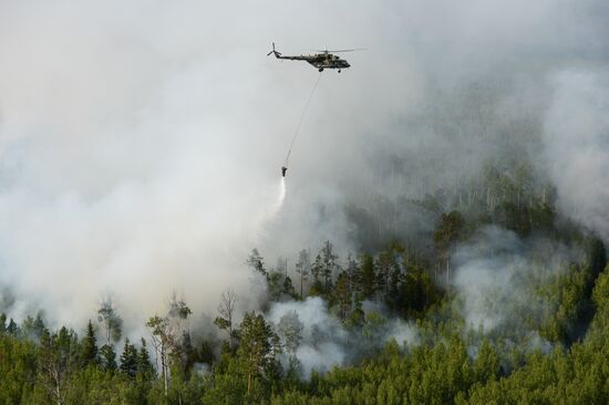 Russia Siberia Forest Fires