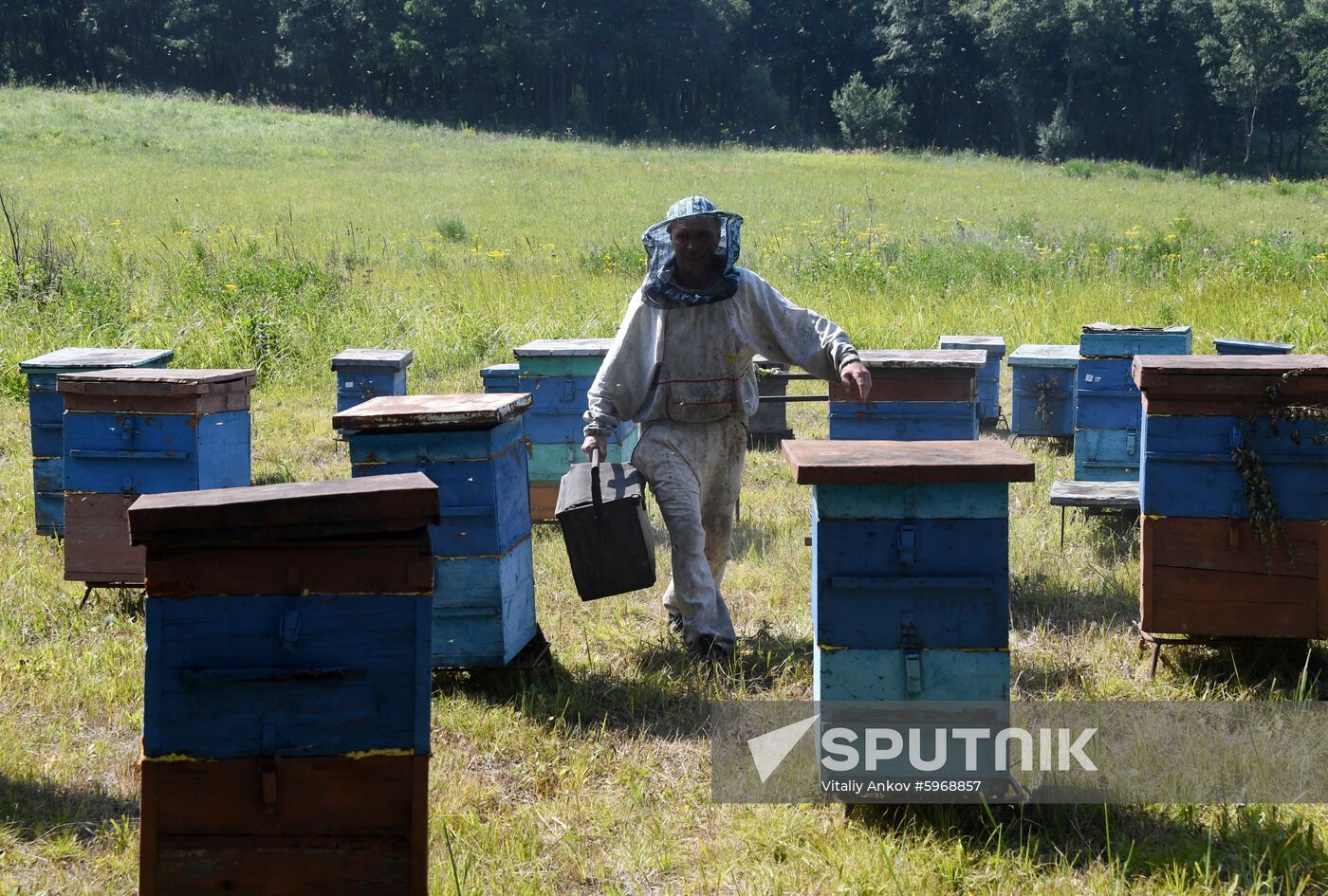 Russia Apiary