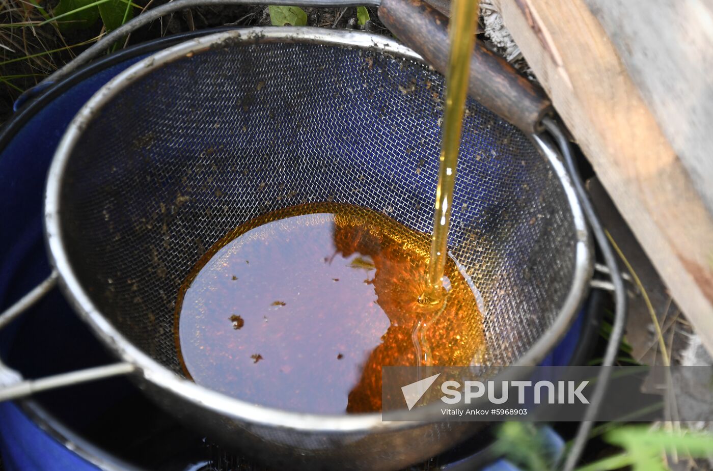 Russia Apiary