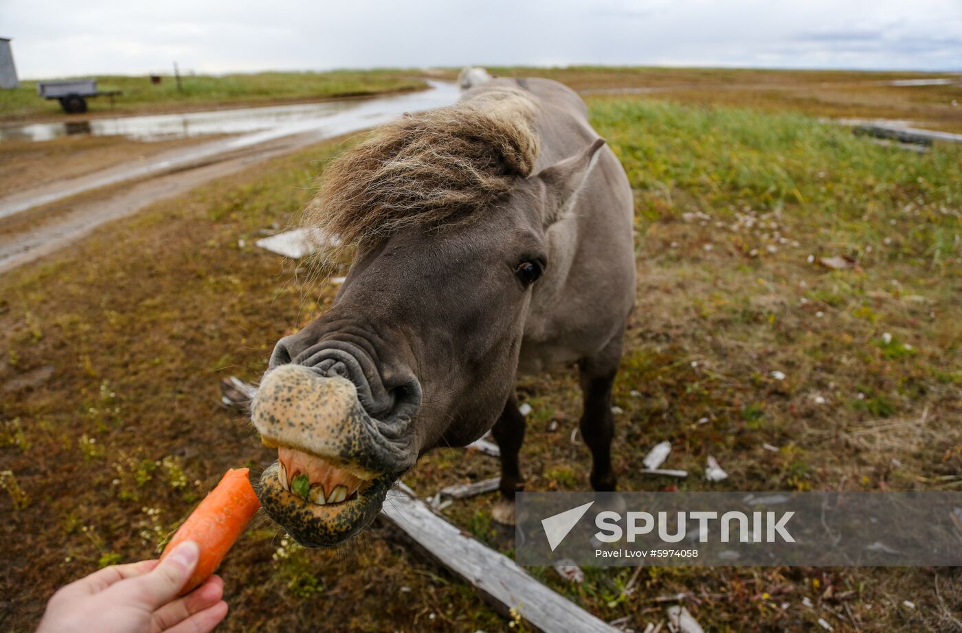 Russia Murmansk Region