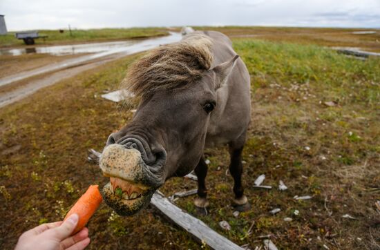 Russia Murmansk Region