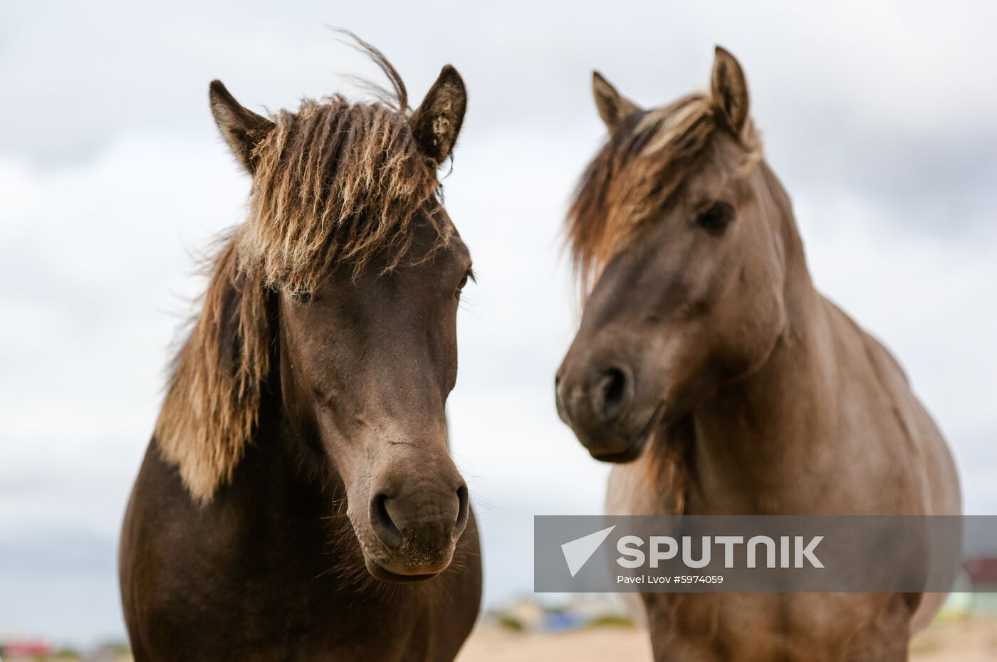 Russia Murmansk Region