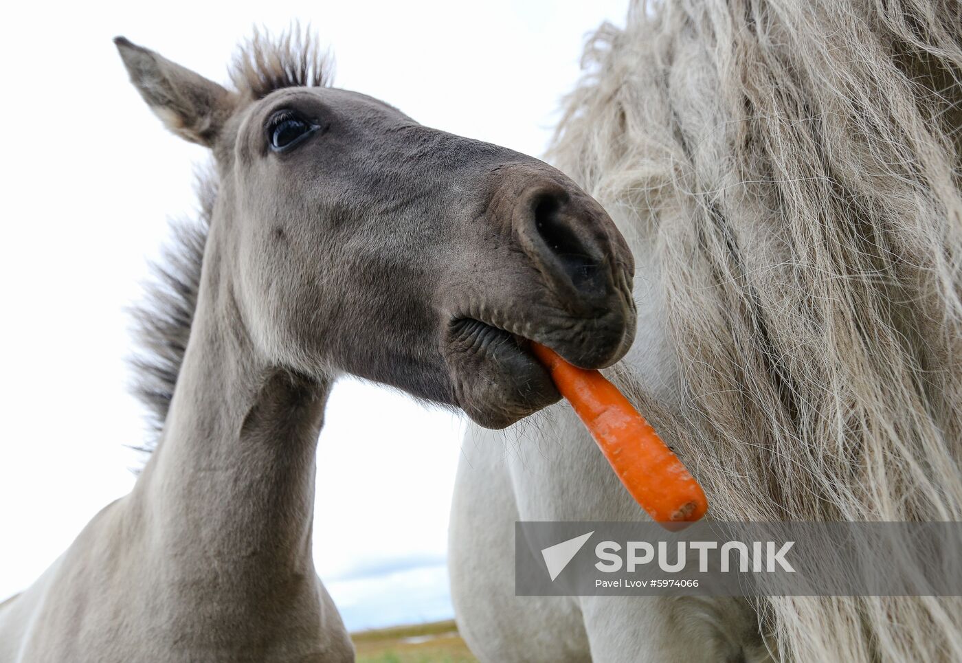 Russia Murmansk Region