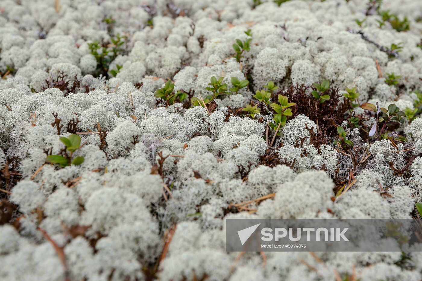 Russia Murmansk Region