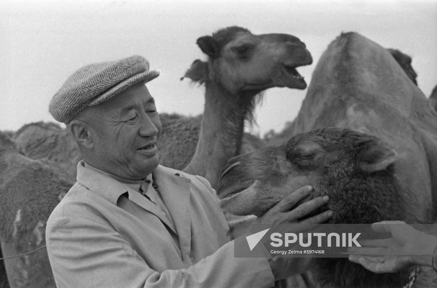 Sakar-Chaga camel-breeding state farm