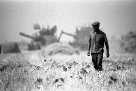 Harversting crops in Kuban