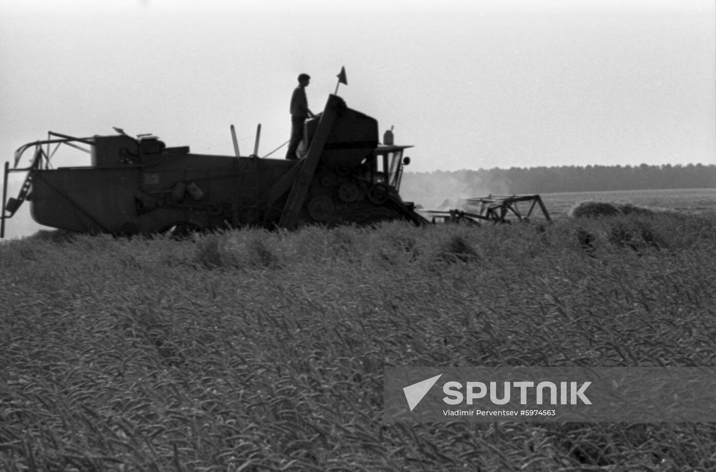 Crops harvest in Kuban