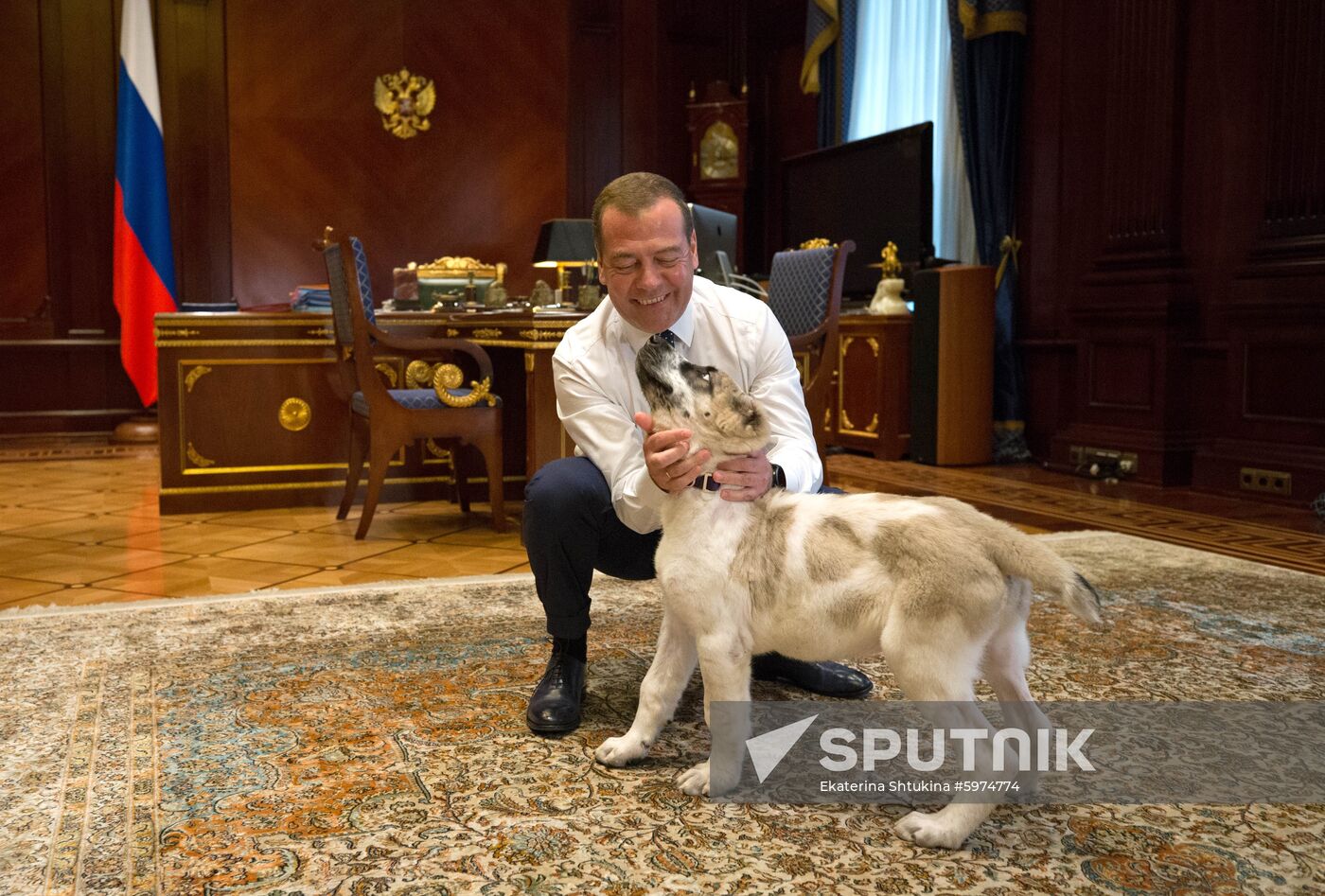 Russia Medvedev