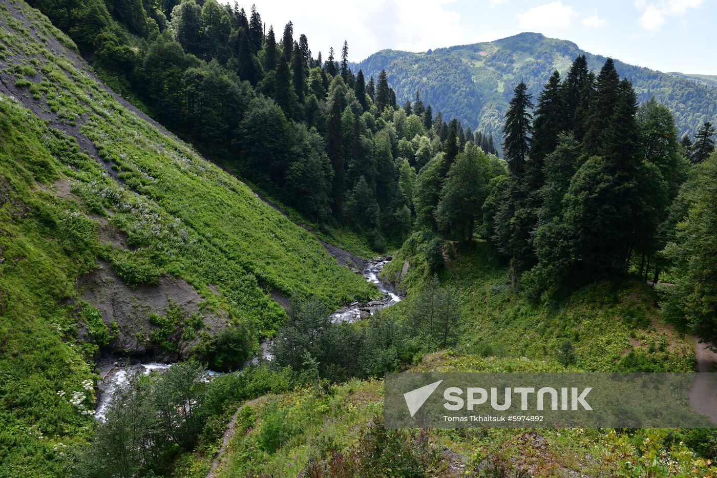 Abkhazia Ritsa Nature Park