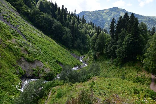 Abkhazia Ritsa Nature Park
