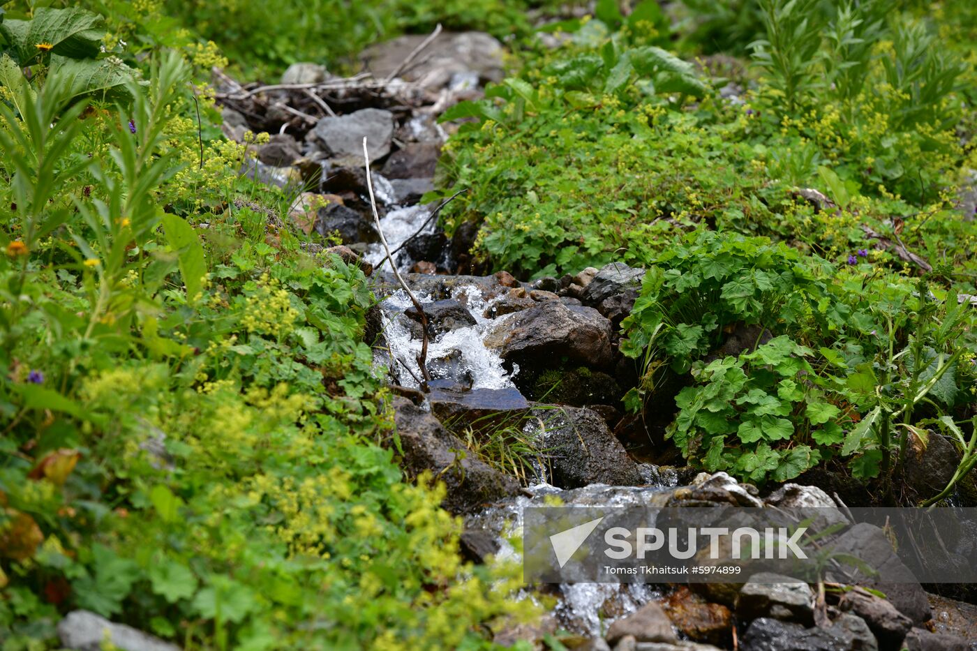 Abkhazia Ritsa Nature Park