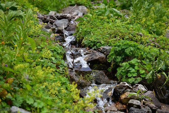 Abkhazia Ritsa Nature Park