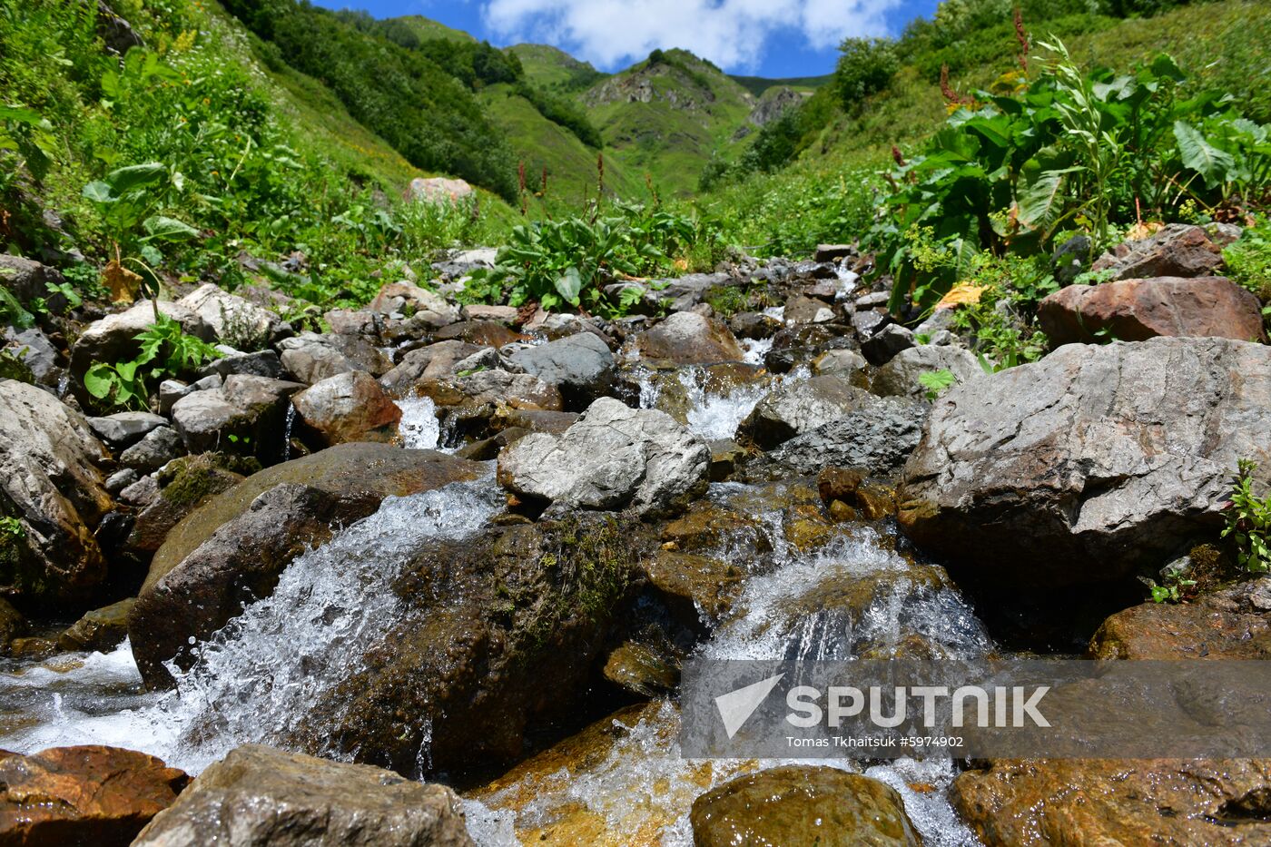 Abkhazia Ritsa Nature Park