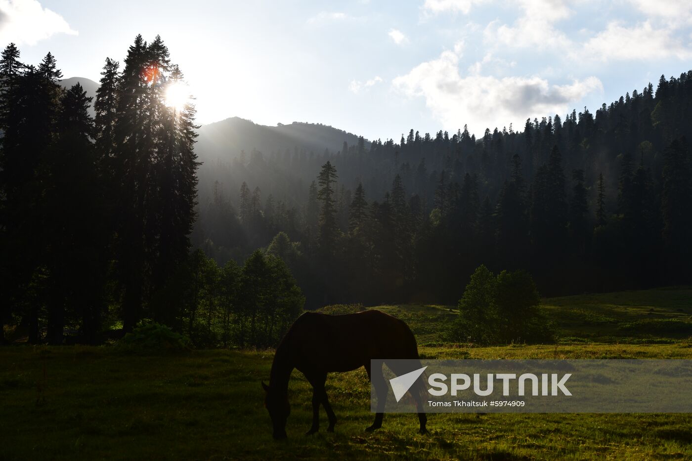 Abkhazia Ritsa Nature Park