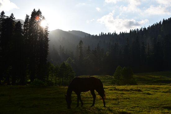 Abkhazia Ritsa Nature Park