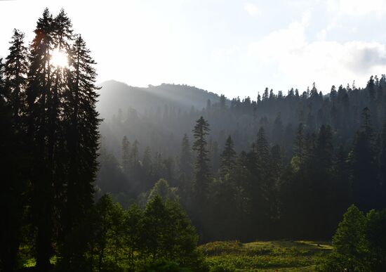 Abkhazia Ritsa Nature Park