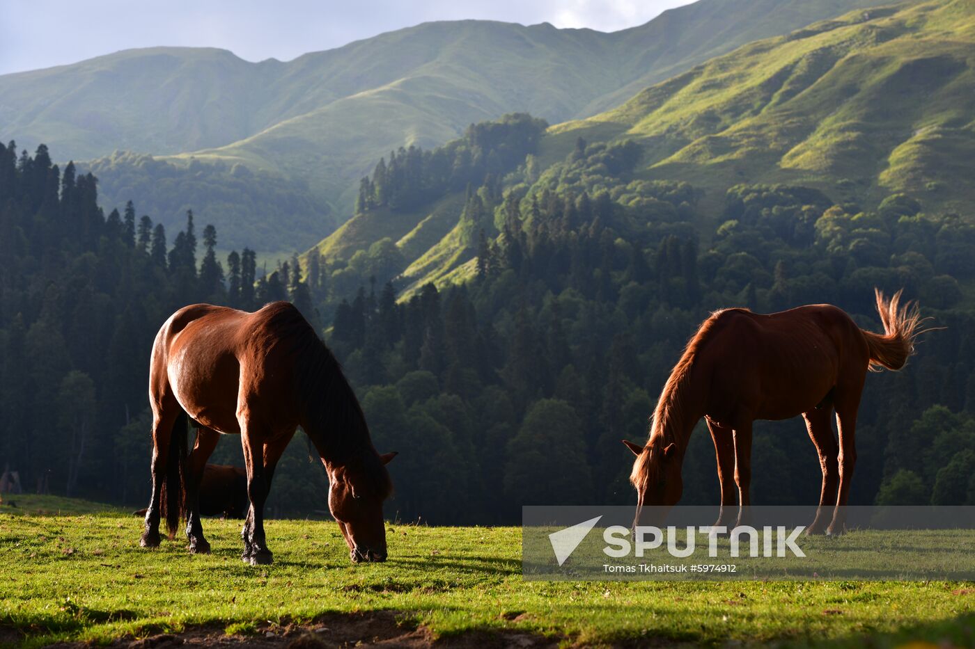 Abkhazia Ritsa Nature Park