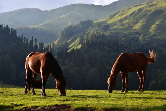Abkhazia Ritsa Nature Park