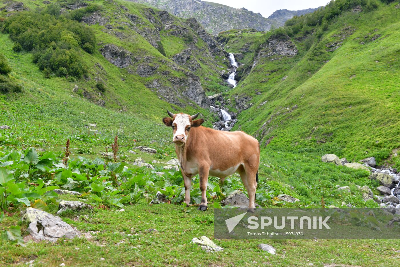 Abkhazia Ritsa Nature Park
