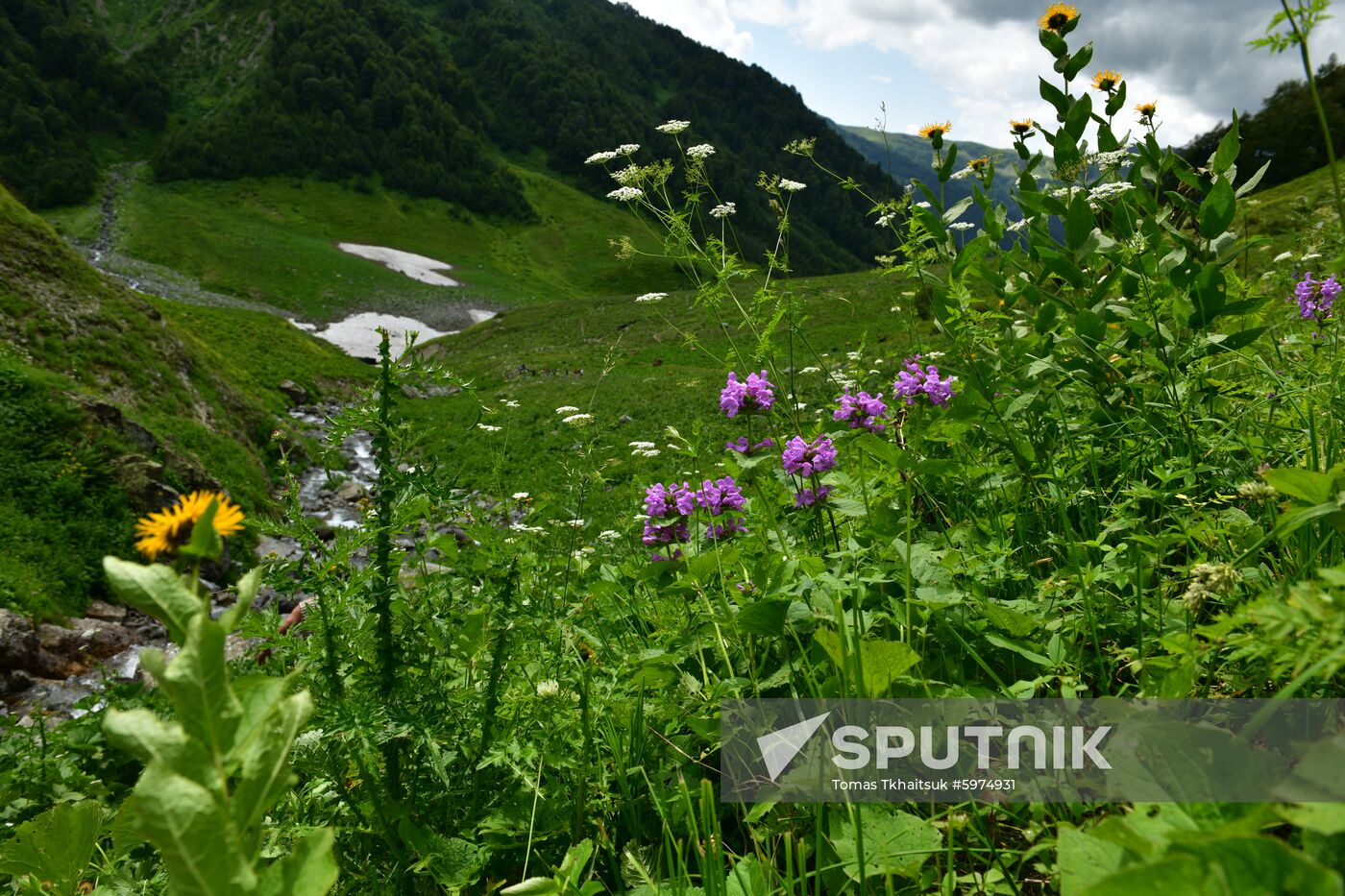 Abkhazia Ritsa Nature Park