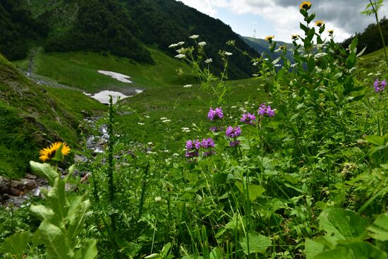 Abkhazia Ritsa Nature Park