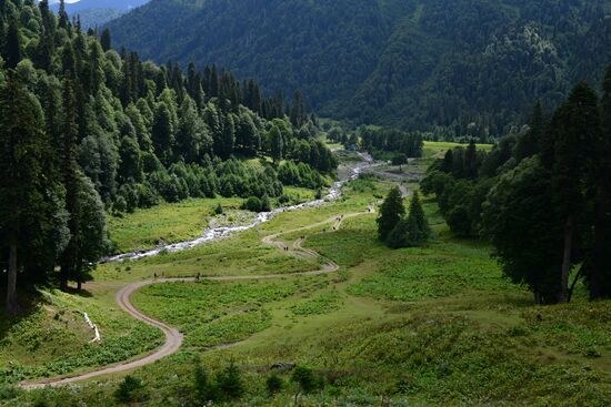 Abkhazia Ritsa Nature Park