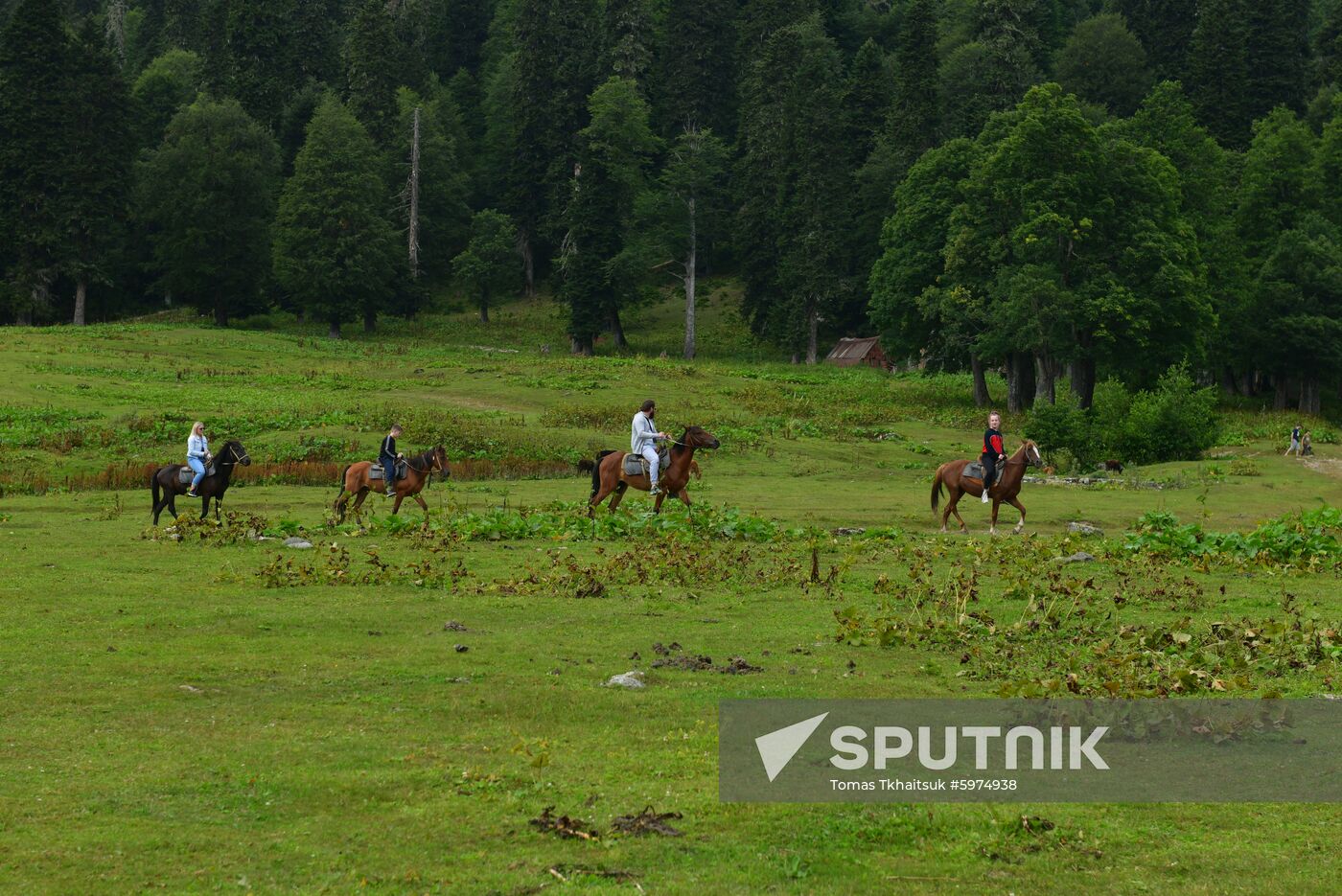 Abkhazia Ritsa Nature Park