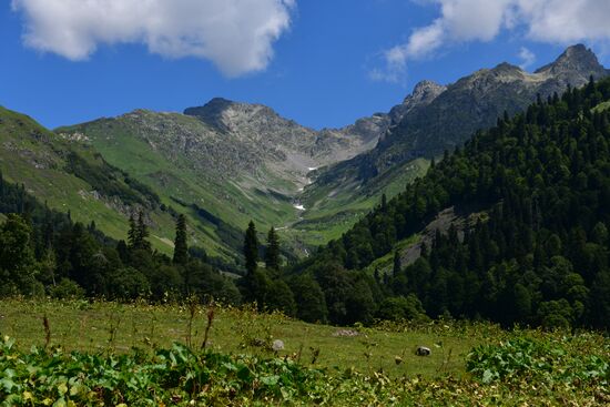 Abkhazia Ritsa Nature Park