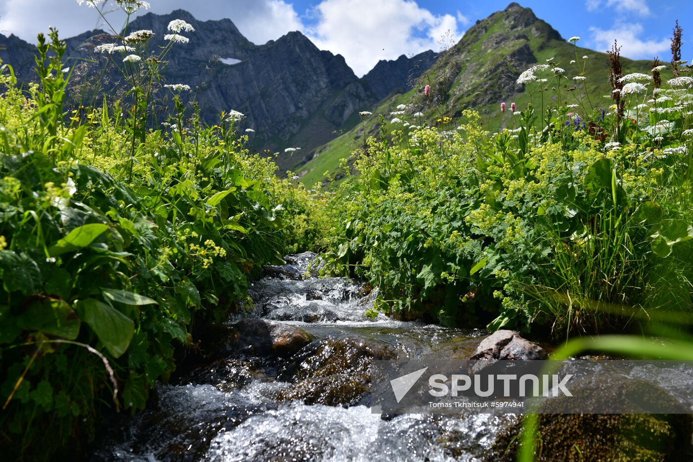 Abkhazia Ritsa Nature Park