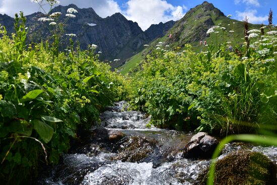 Abkhazia Ritsa Nature Park