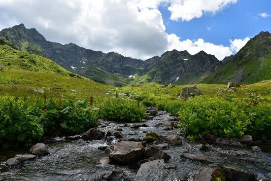 Abkhazia Ritsa Nature Park