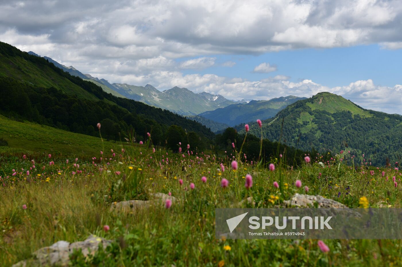 Abkhazia Ritsa Nature Park