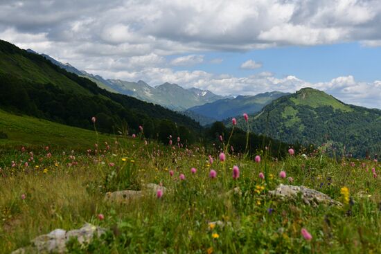 Abkhazia Ritsa Nature Park