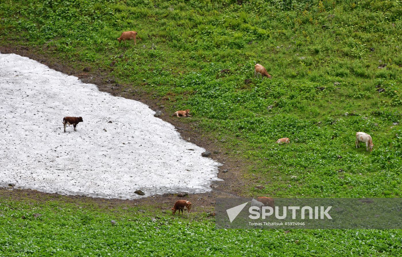 Abkhazia Ritsa Nature Park