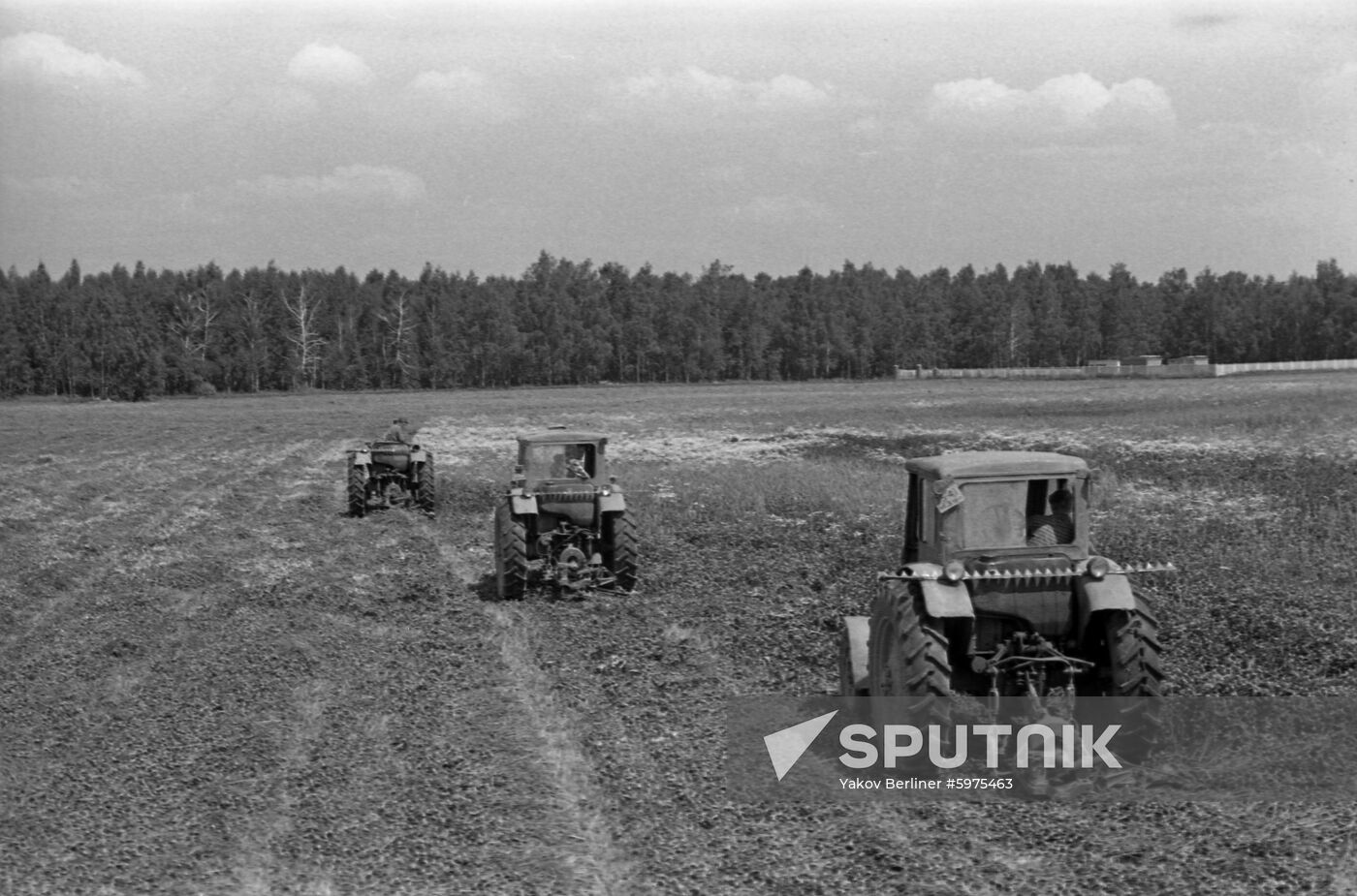 Vladimir Ilyich collective farm