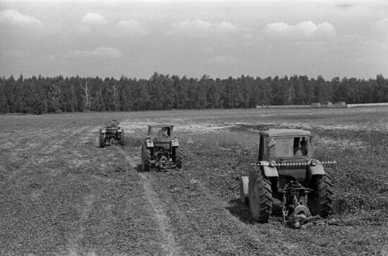 Vladimir Ilyich collective farm