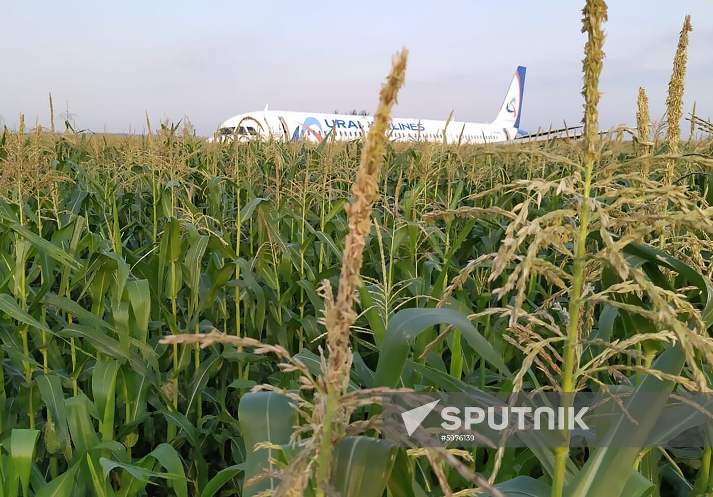 Russia A321 Plane Accident