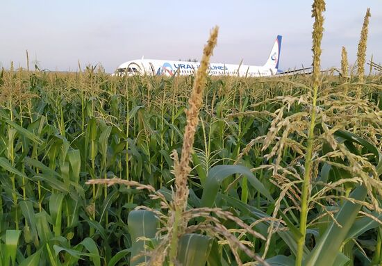 Russia A321 Plane Accident 