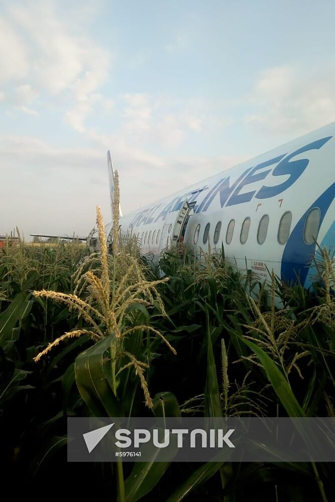 Russia A321 Plane Accident