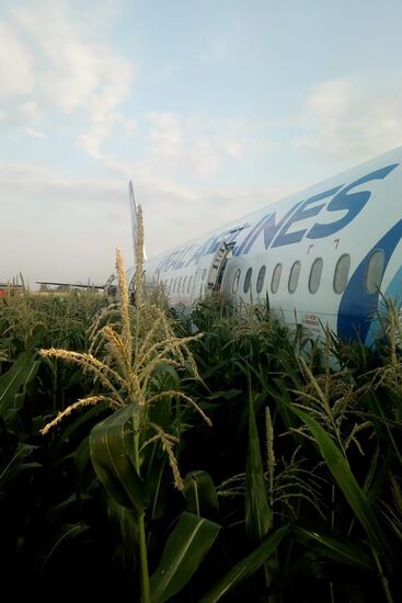 Russia A321 Plane Accident 