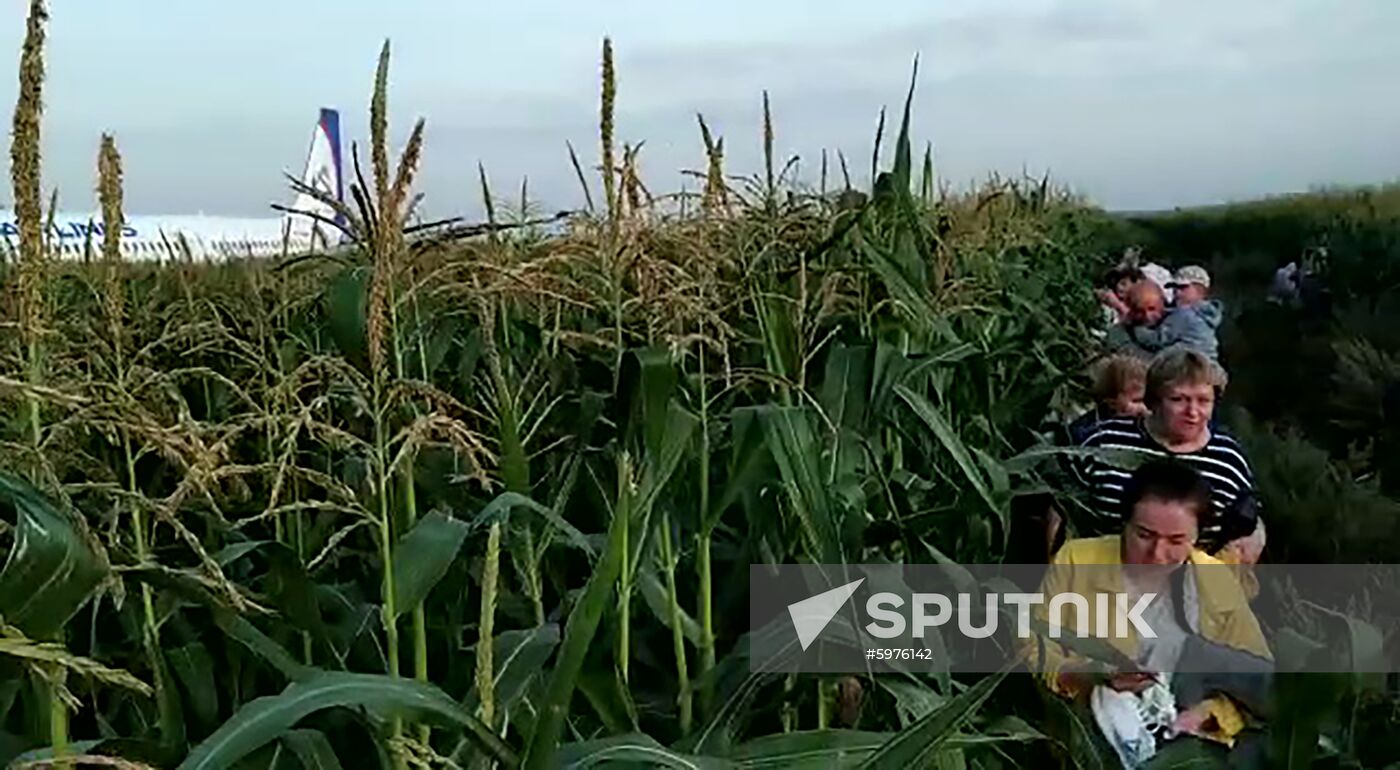 Russia A321 Plane Accident