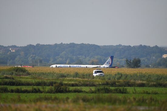 Russia A321 Plane Accident