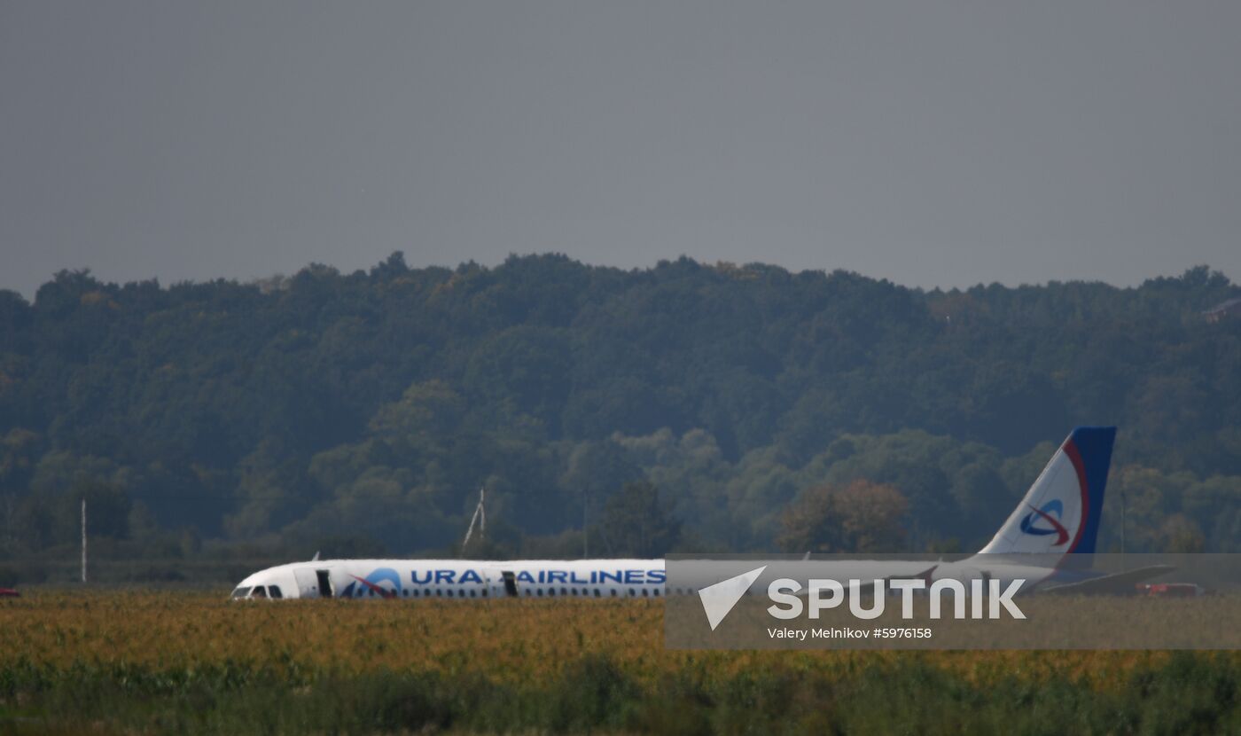 Russia A321 Plane Accident