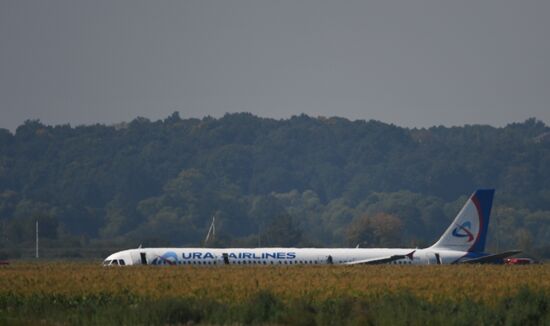 Russia A321 Plane Accident