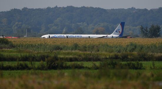 Russia A321 Plane Accident
