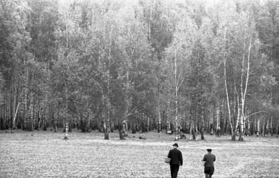 People pick mushrooms in fall-time forest
