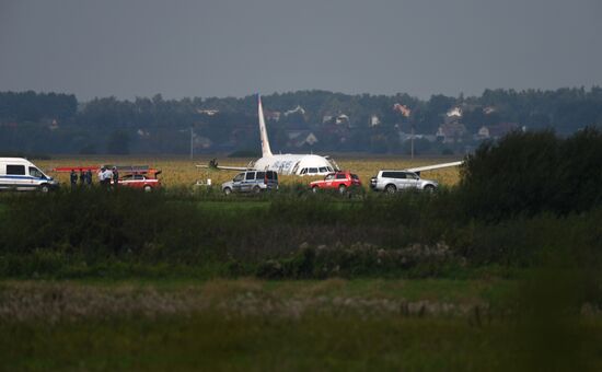Russia A321 Plane Accident
