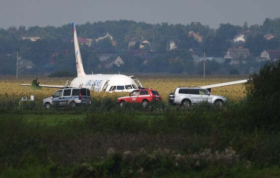 Russia A321 Plane Accident