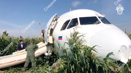 Russia A321 Plane Accident