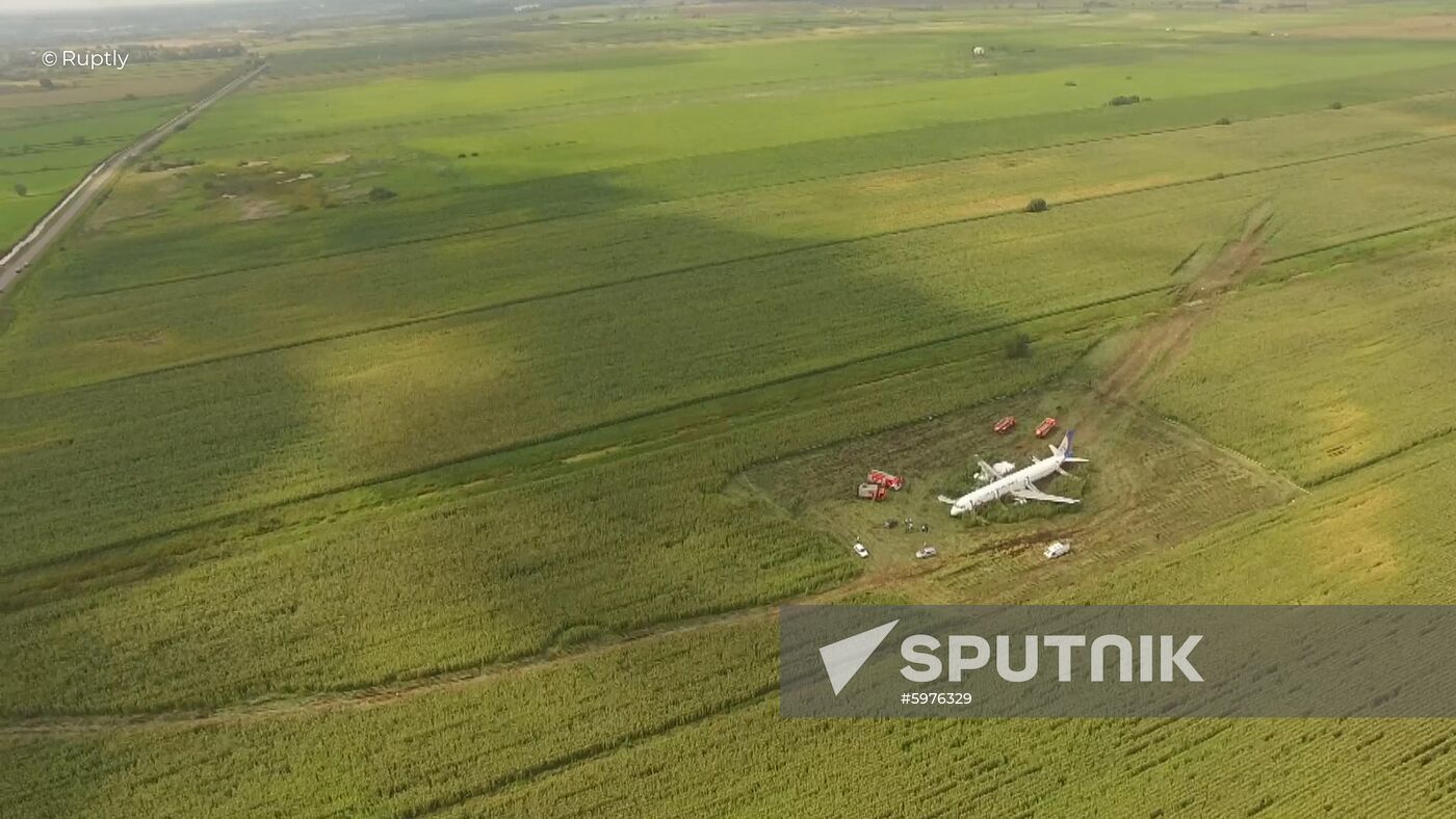 Russia A321 Plane Accident